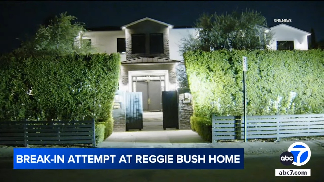News image related to Reggie Bush attempted burglary