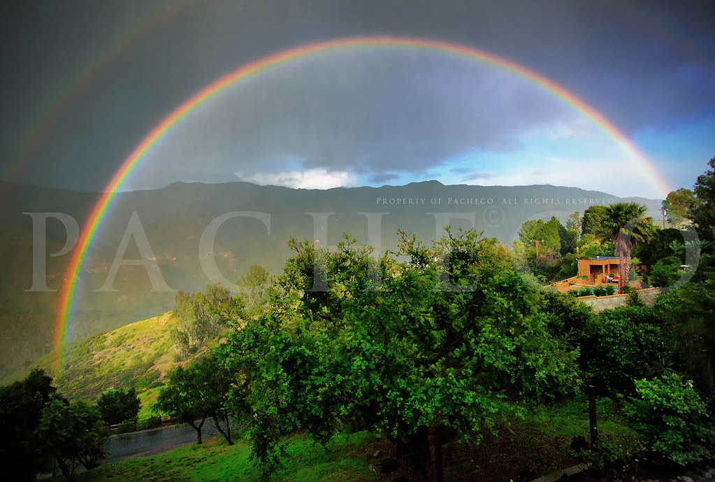The Hillside Homes window film and security tinting